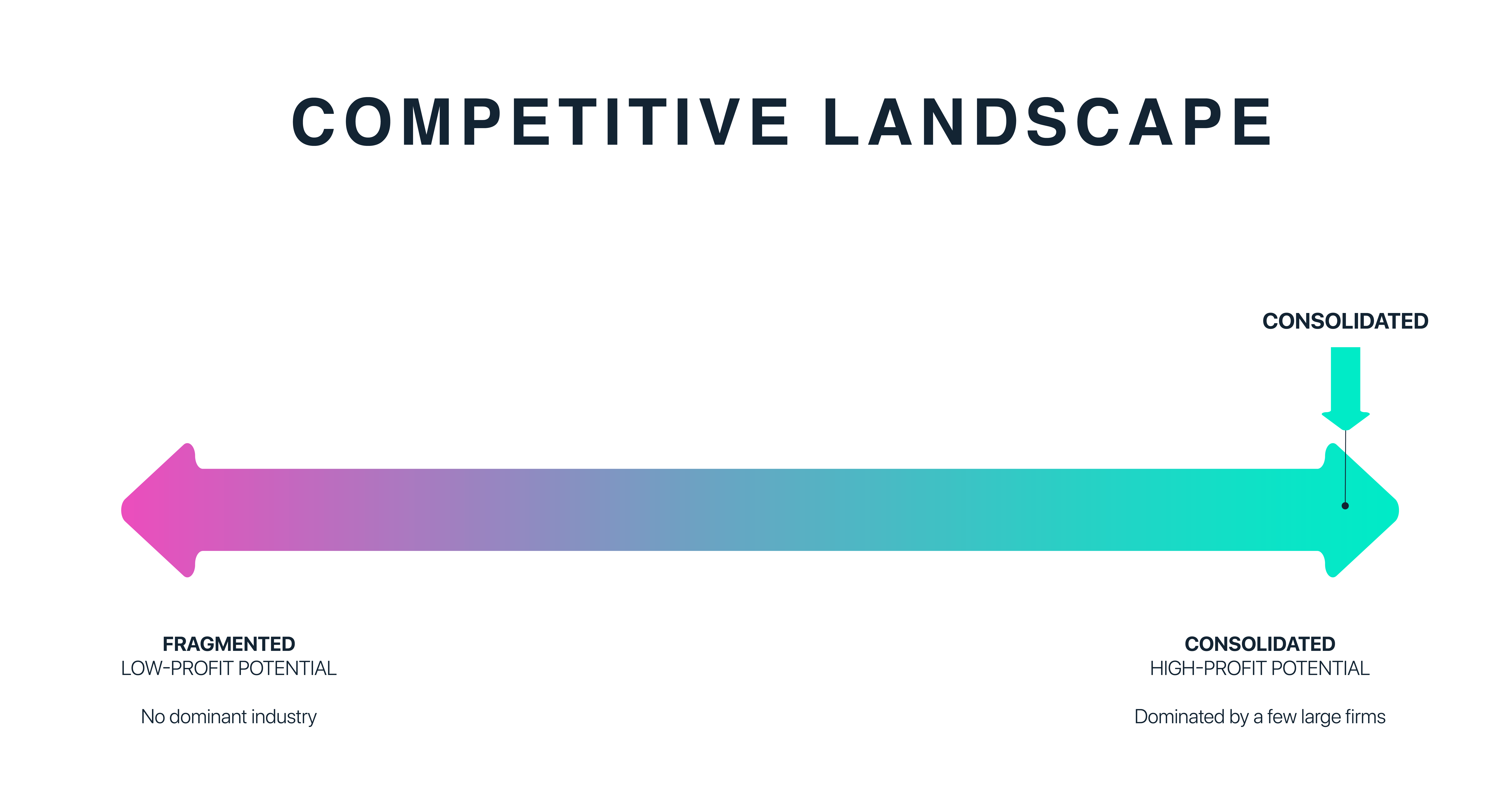 United States Market Report (20202025)